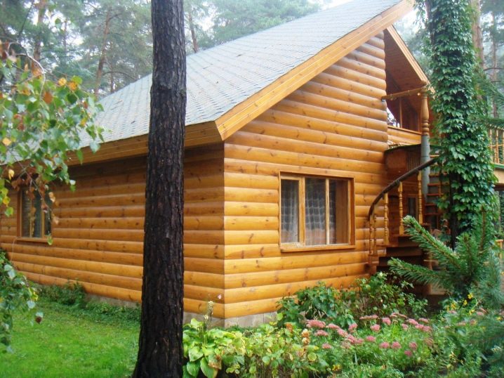 Чем обшить дом снаружи: отделка деревянного дома недорого